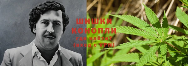 молекула духа Остров