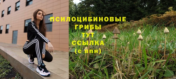 трава Нязепетровск