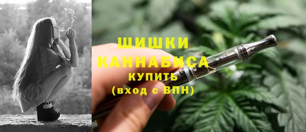 хмурый Няндома