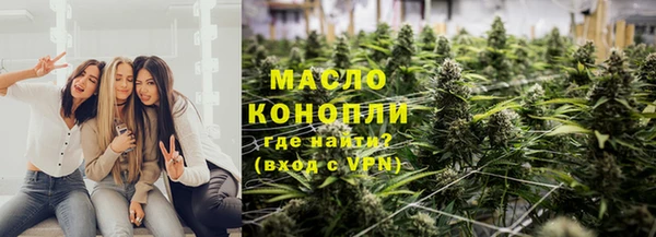 хмурый Няндома