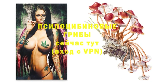 трава Нязепетровск