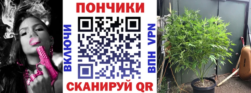 Канабис AK-47  mega зеркало  Нягань 